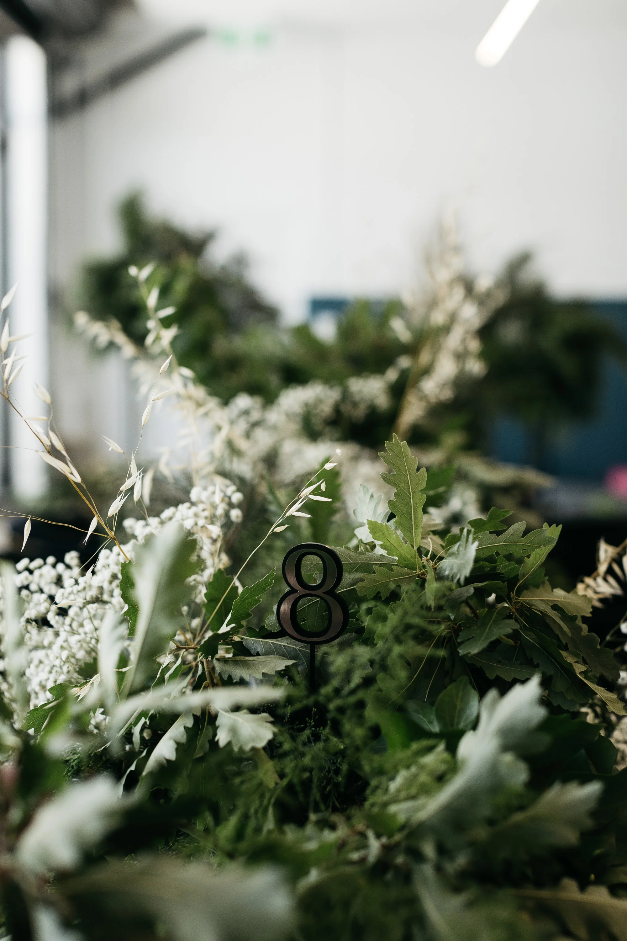 Christmas - Mr Theodore - Wedding Directory Australia