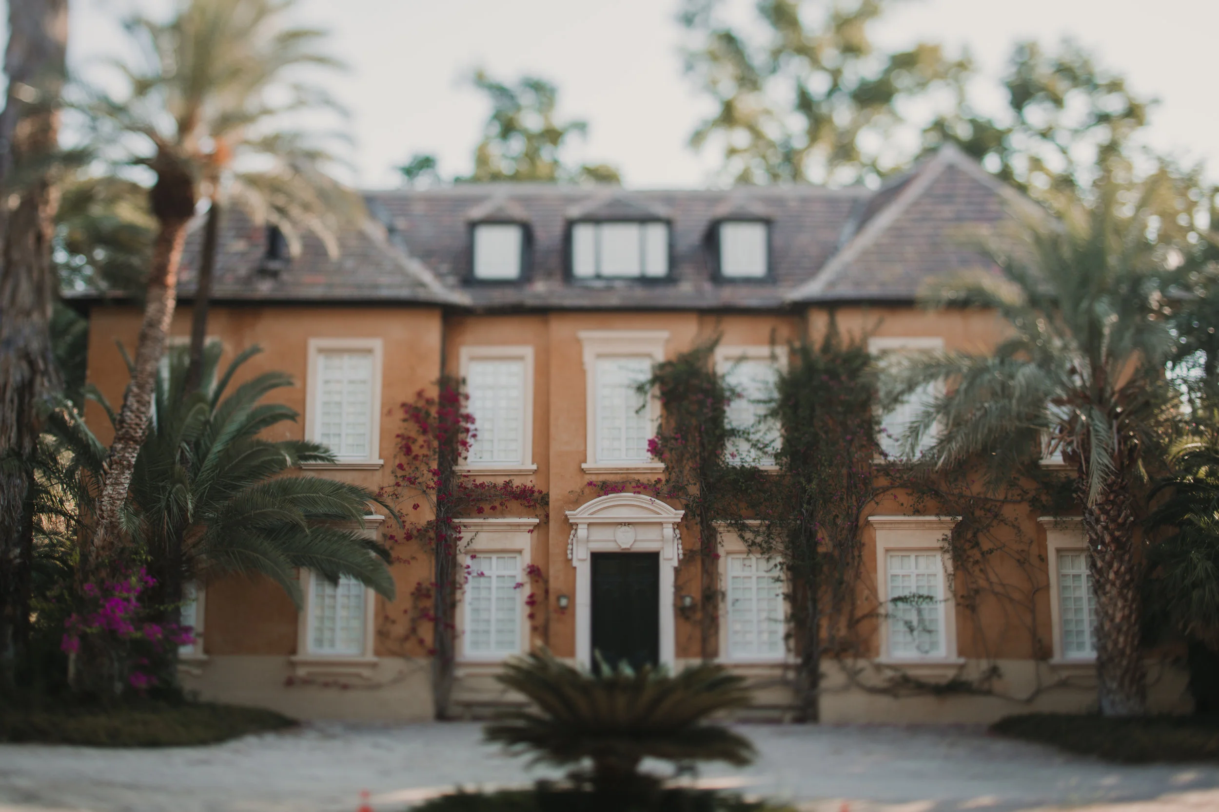 Antonio Y Niels. Enfok2-141.jpg