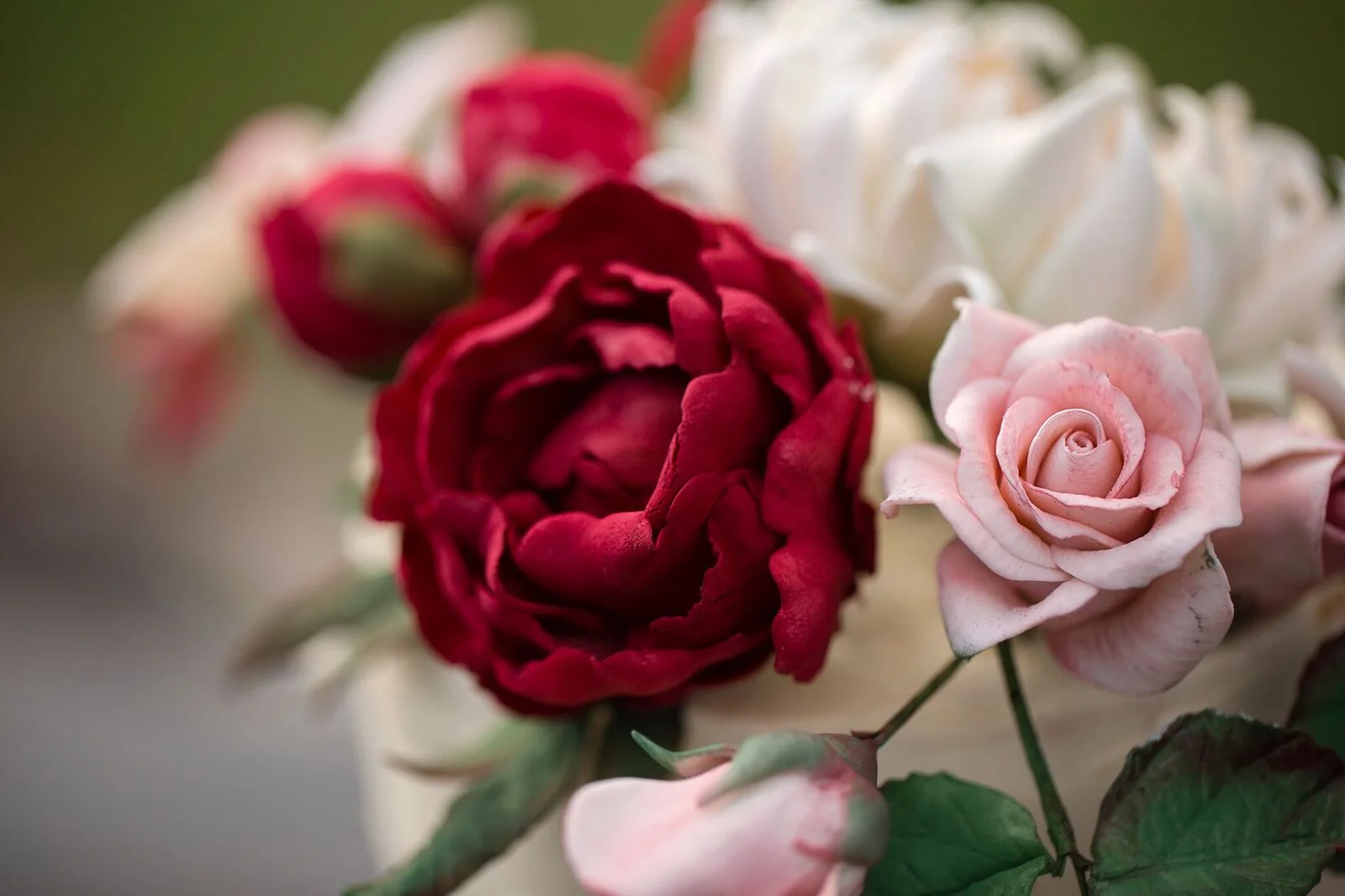Jessica%20Rose%20Photography_%20The%20Vines_156_preview.jpeg.jpg