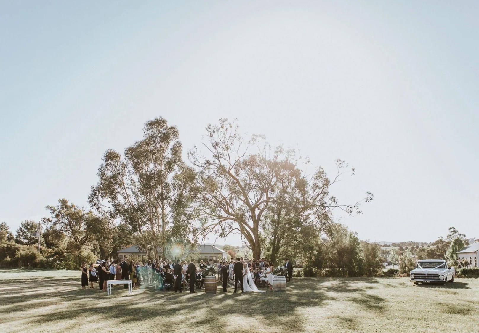 Immerse Winery