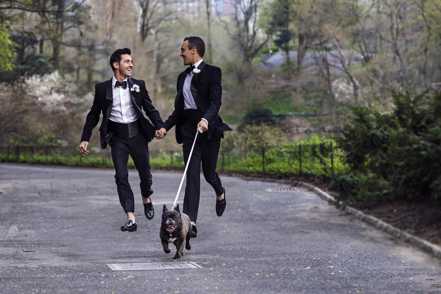 Copy of IMGL6485-2.jpg