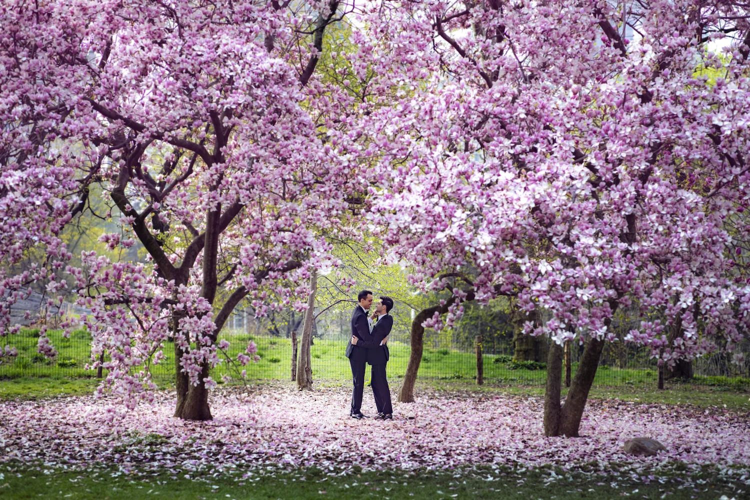 Copy of IMGL6802.jpg