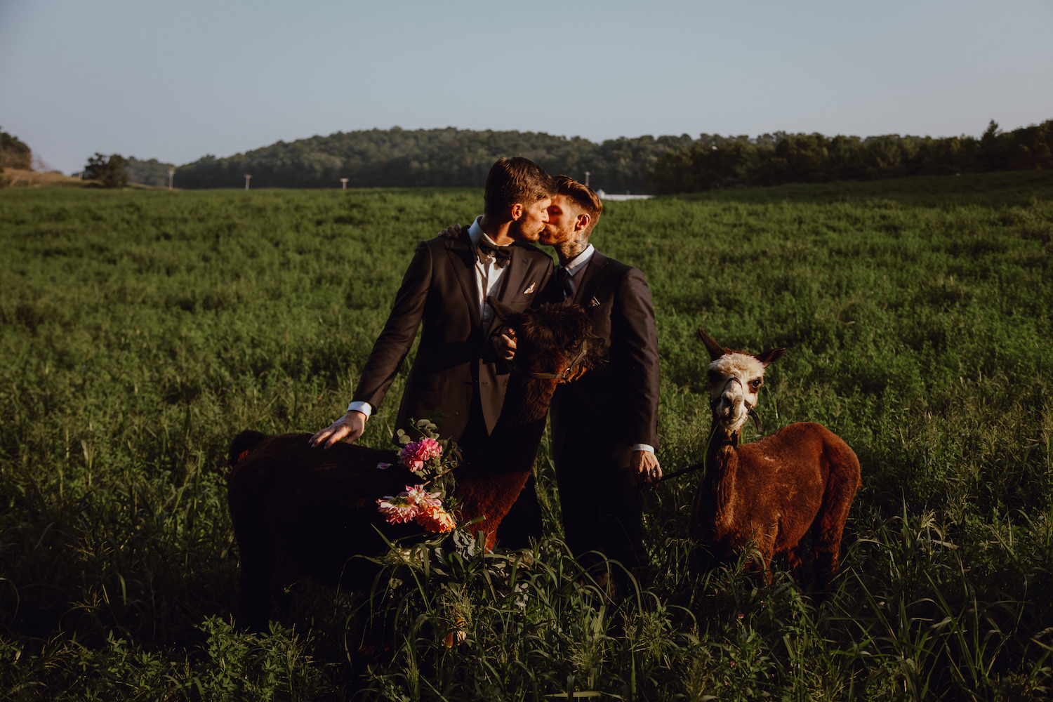 MADISON-WEDDING-PHOTOGRAPHY-BY-MEGAN-SAUL-PHOTOGRAPHY-COCKTAIL(65of233).jpg