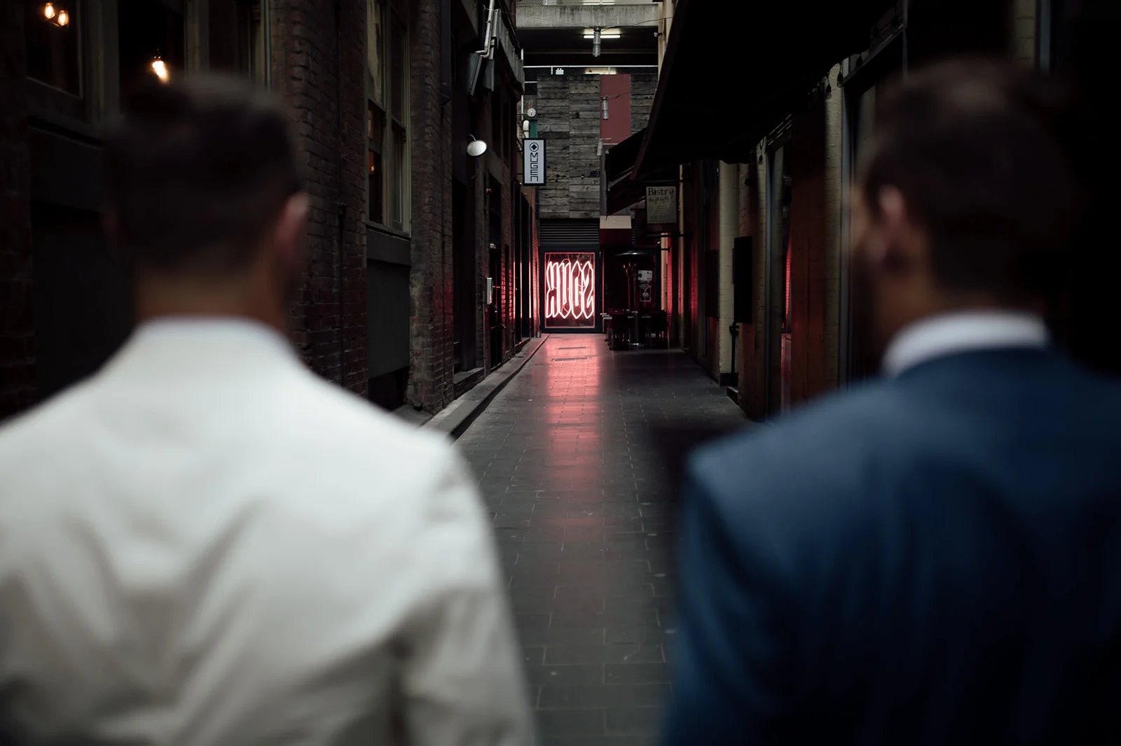 free the bird-53.jpg