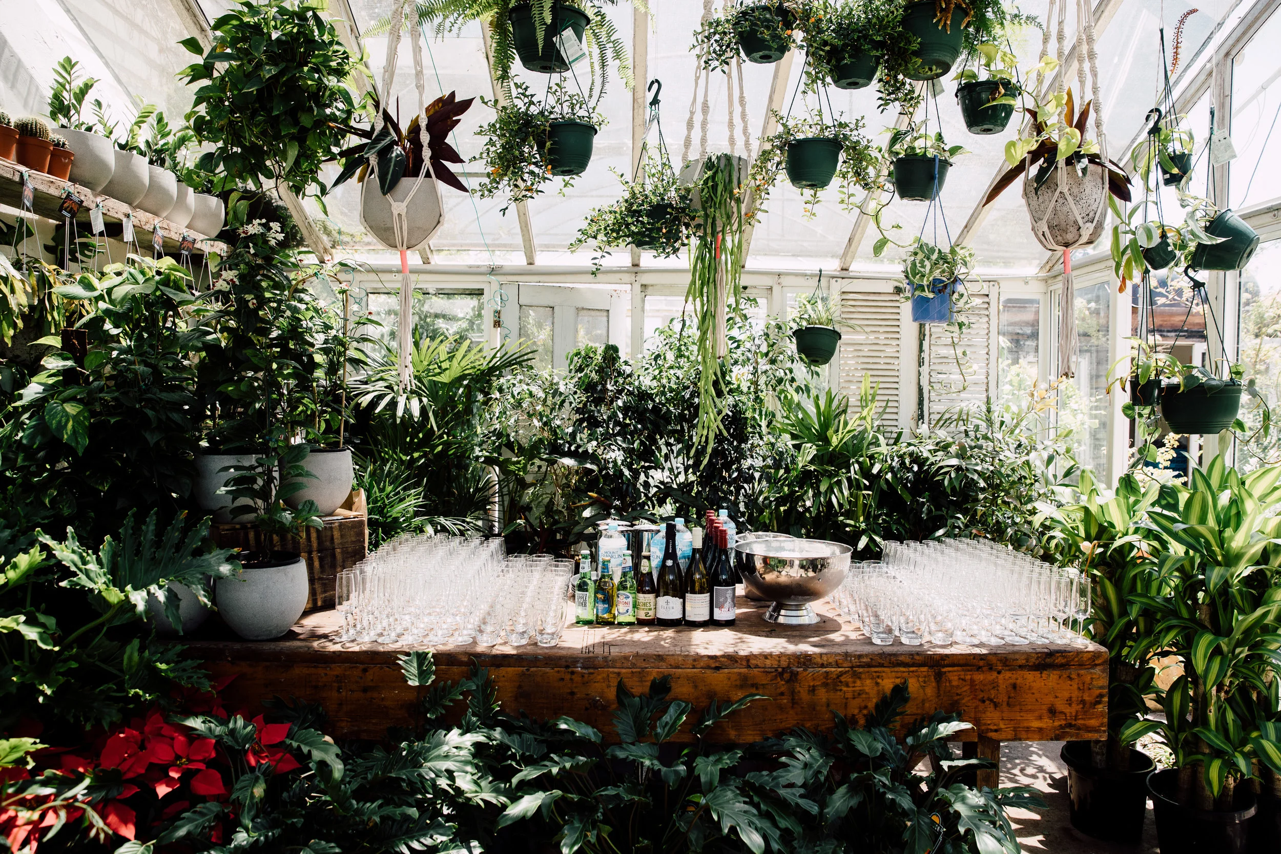 10 of the best wedding venues in Melbourne - Glasshaus - Mr Theodore