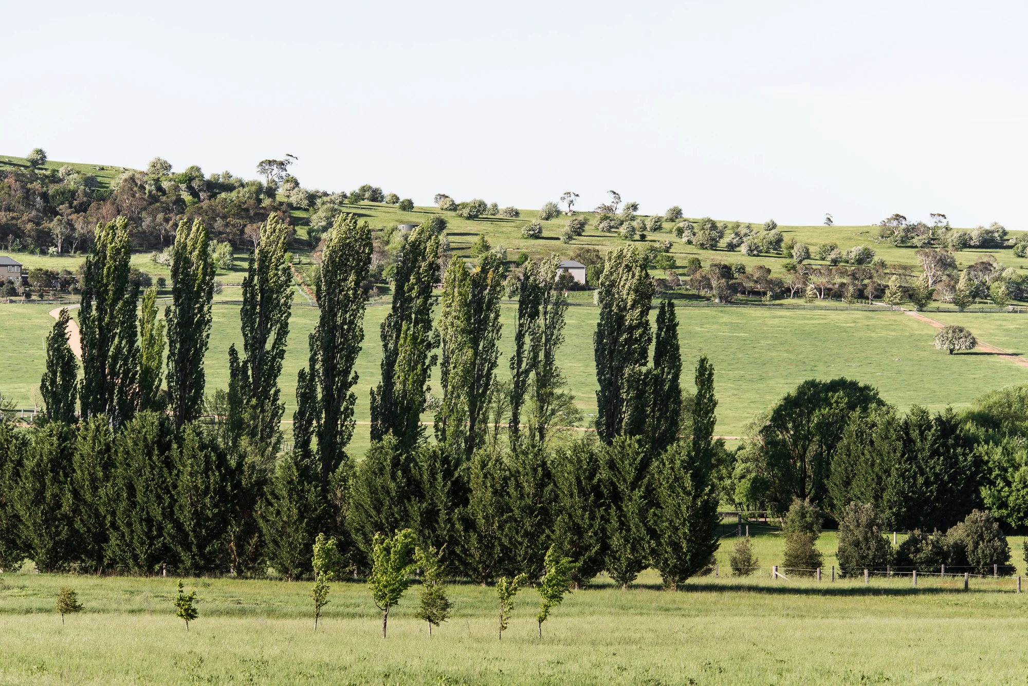 A quintessential country celebration: Country wedding venues