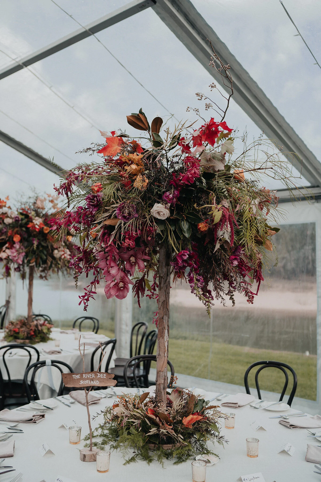 Mr Theodore - Victoria Whitelaw Wedding Flowers 