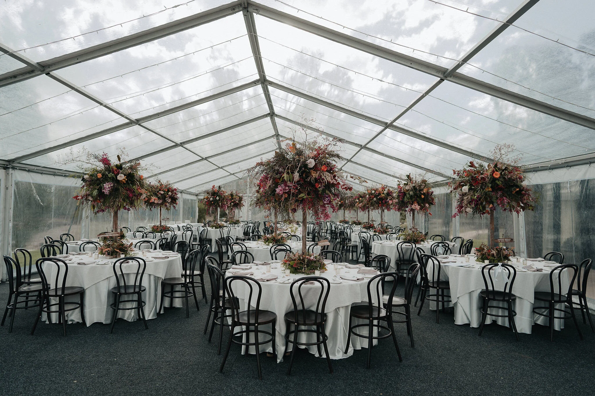 Mr Theodore - Victoria Whitelaw Wedding Flowers 