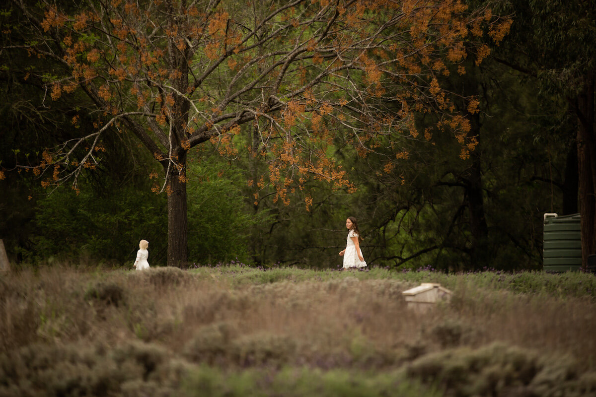 Mr Theodore - LGBT Wedding NSW