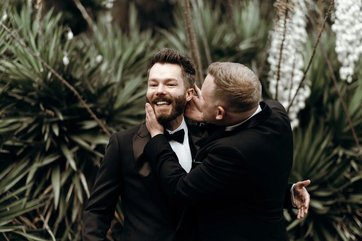 Adam and Eddie: Mr Perfect