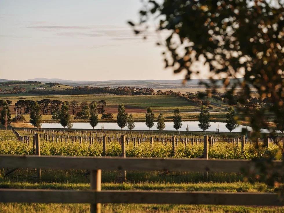 Marnong Estate: Where Wedding Dreams Come True 