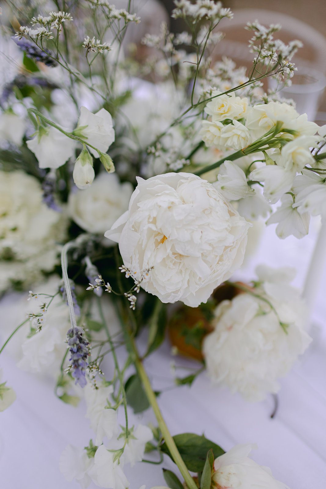 blooms_Merricks_general_store-28.jpg