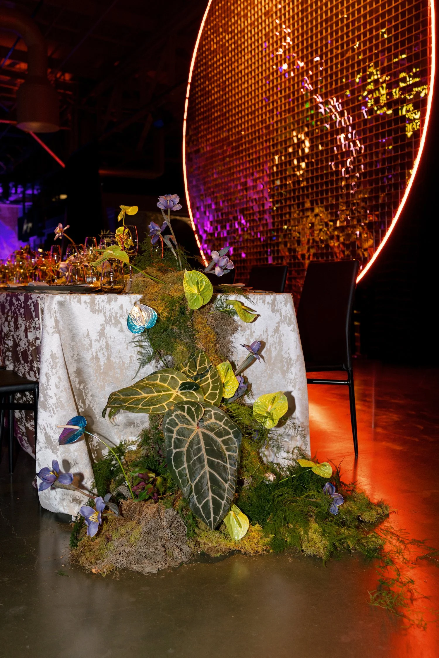 100-Joel Kim Booster_John-Micahel Sudsina_©Mandee Johnson-5057.jpg