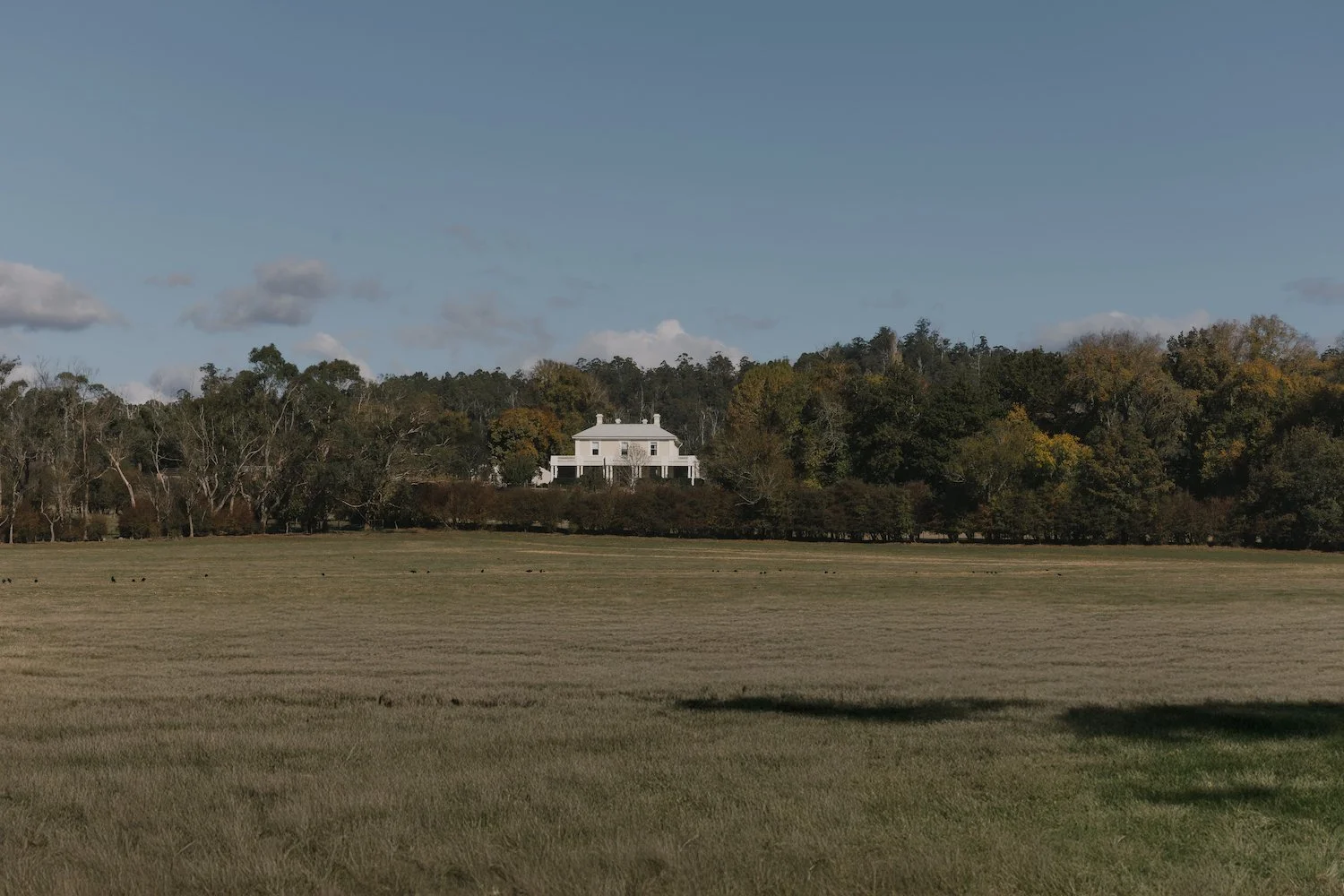 Calstock Estate: For a Wedding That Feels Timeless, Anchored in History, and Rich With Atmosphere