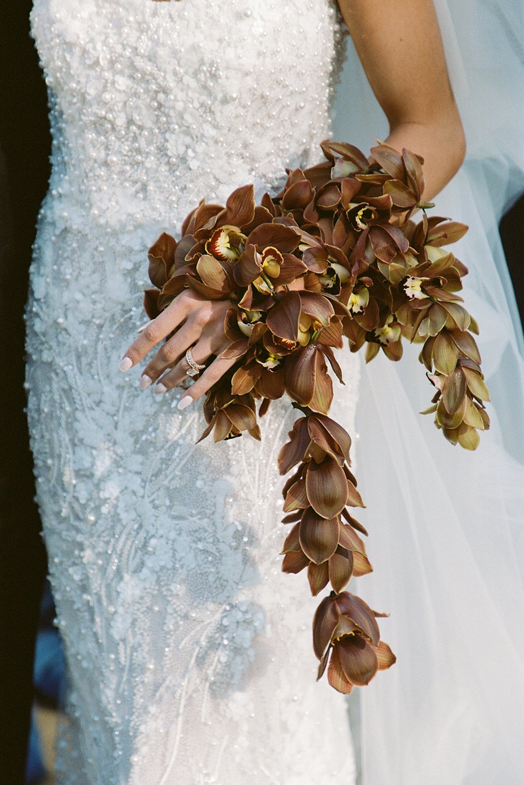 New Editorial: “Blue Reverie” at The Jackson Ranch by Bannisters