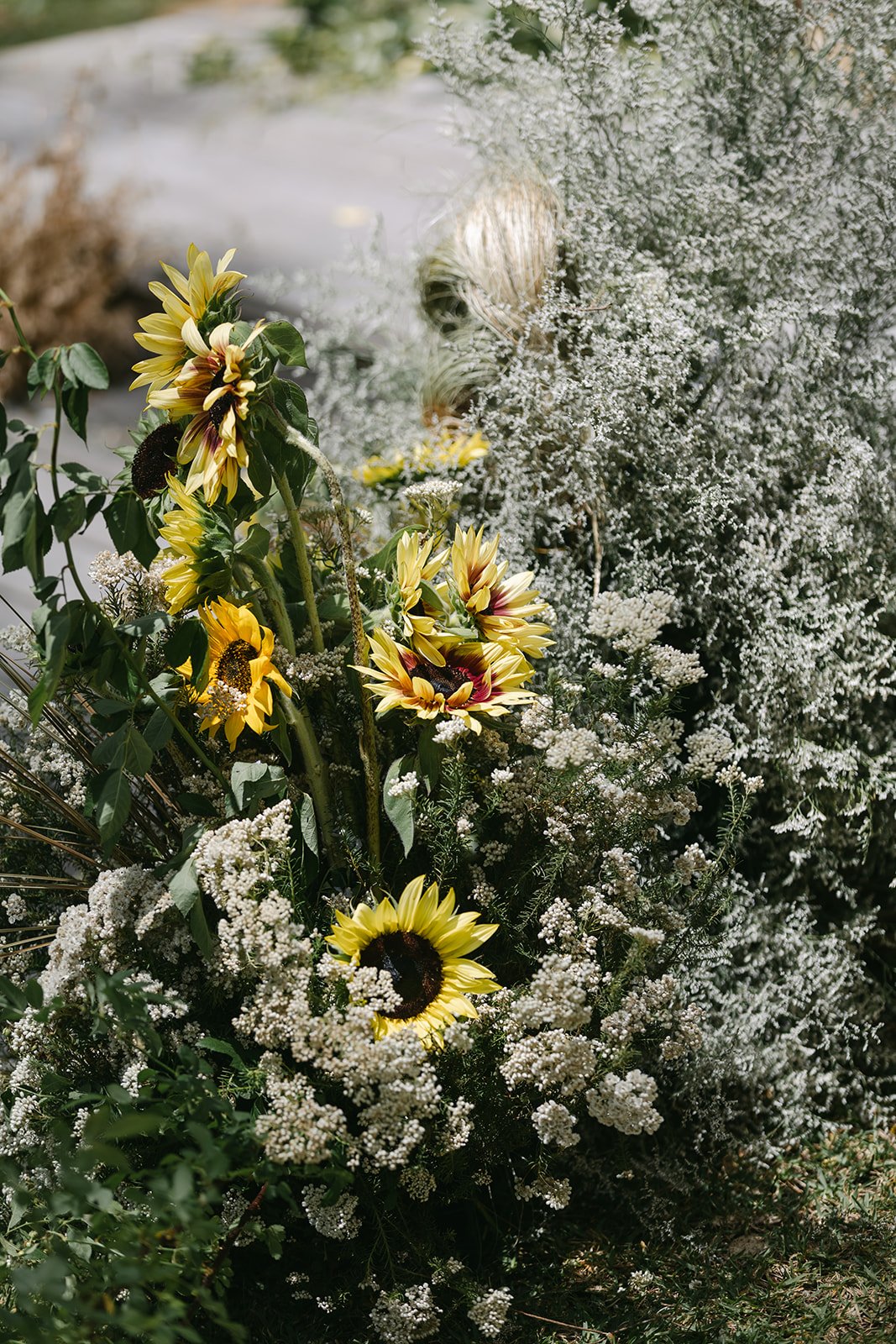 Josh and Nick-26.jpg