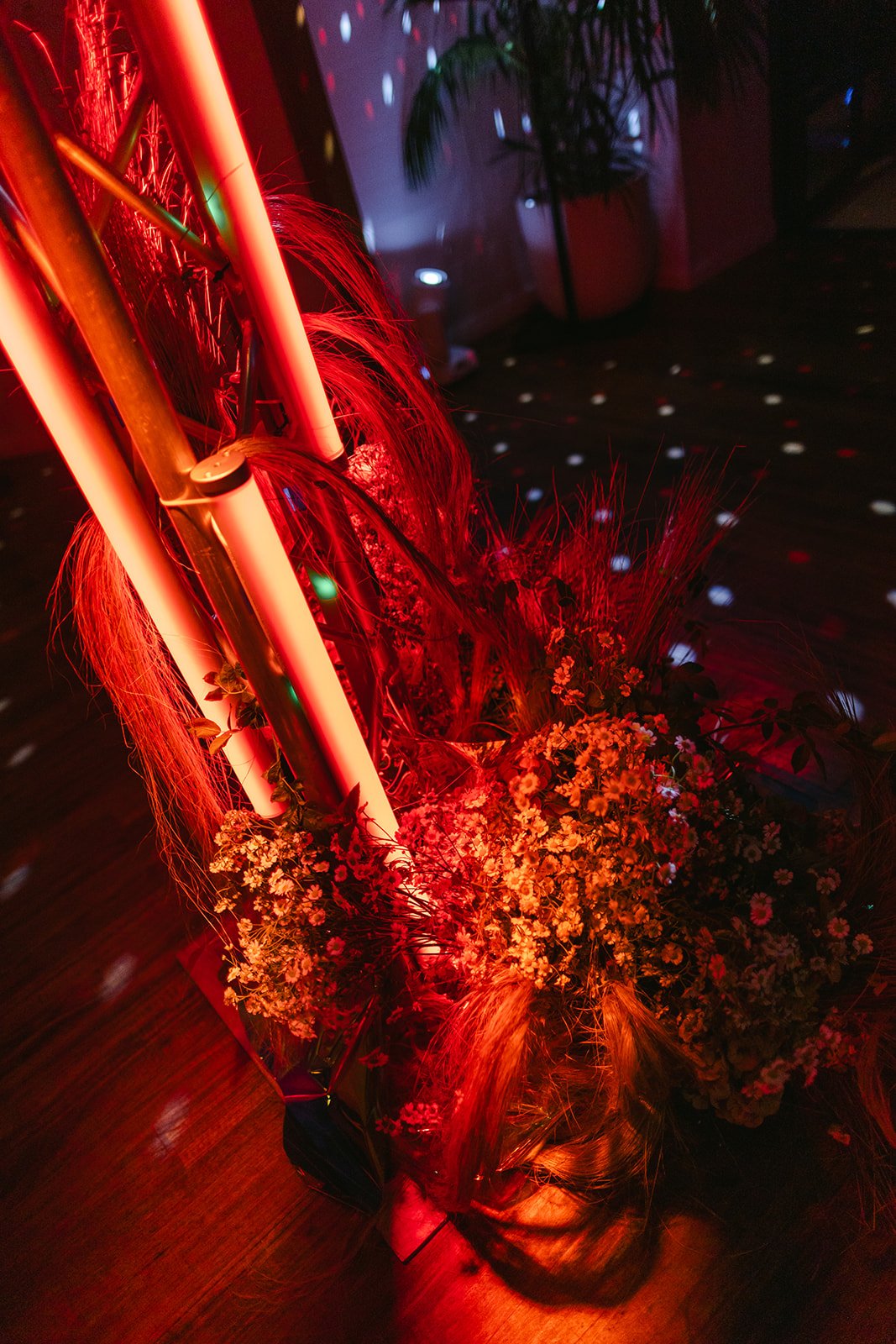 Nick and Josh-444.jpg