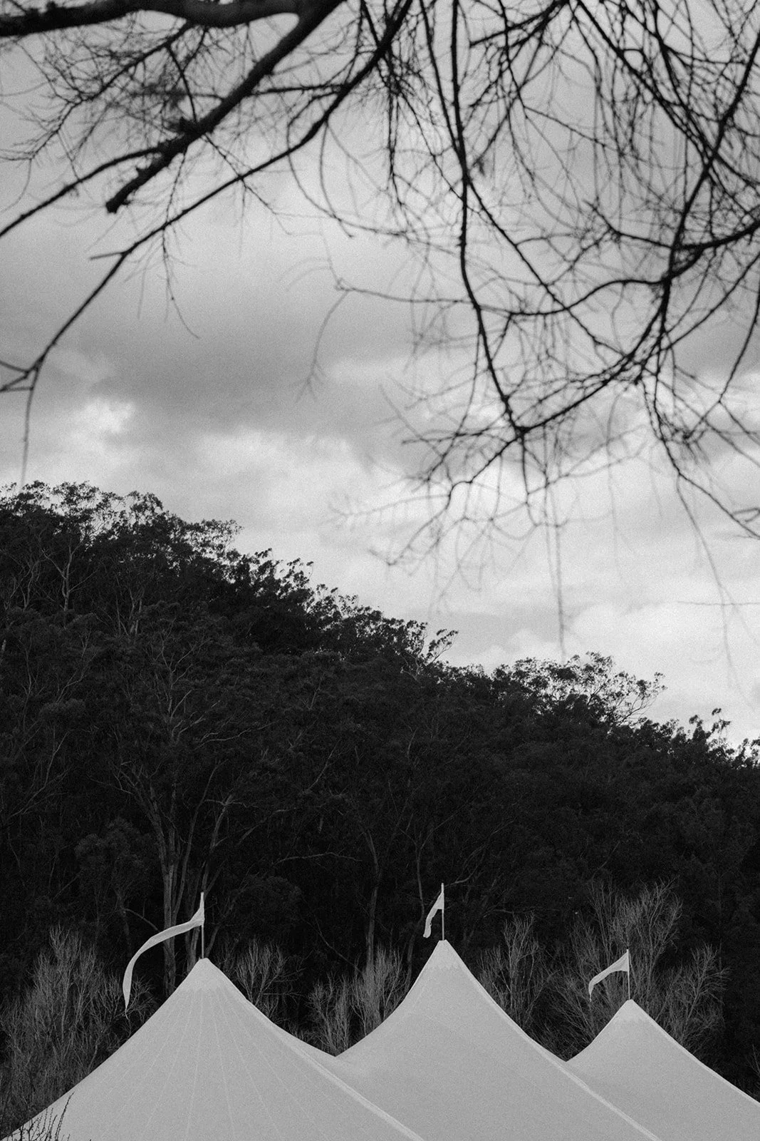 Dulan & Nick Preview-58.jpg