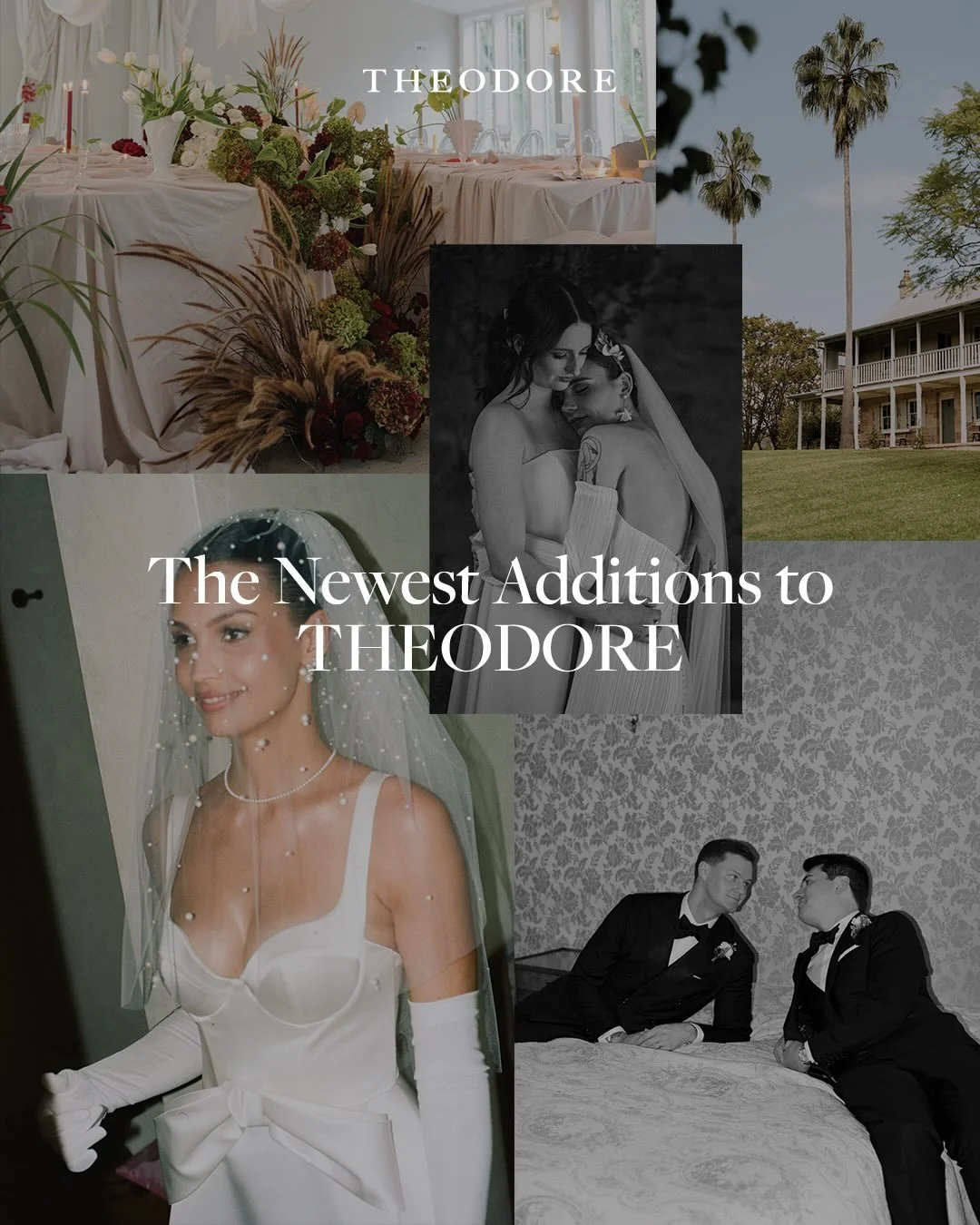 Say hello to the latest additions to the THEODORE wedding guide 👋 

1. @barbaramarkiewicz_photography
2. @bow tie3
3. @kseniya_palchik_wed 
4. @hercreativelens.wed 
5. @emilydiasgeoffroyphotography 
6. @luxasweddingsandevents 
7. @lilburndale 
8. @o