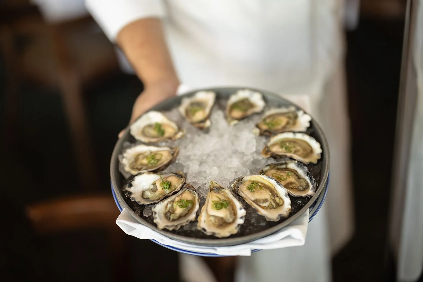 Oysters at Gran Torino.jpg