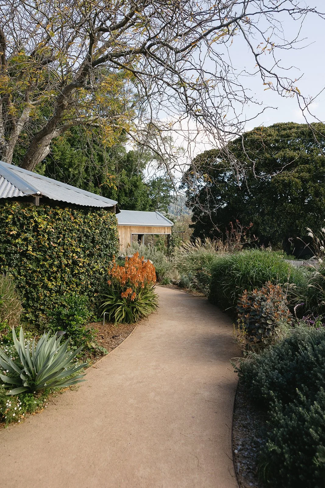 greyleigh-hayleyrafton.jpg