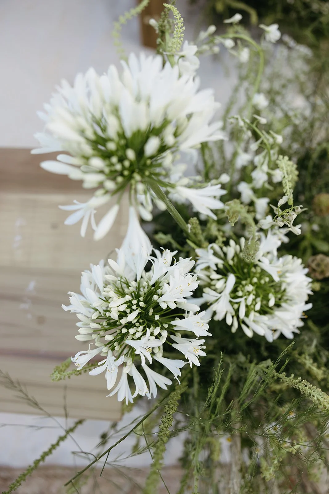 0X9A7287.jpg