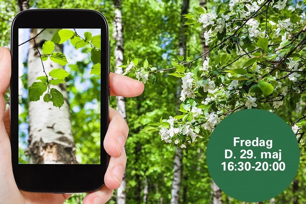 Bioblitz – sammen kortlægger vi naturen