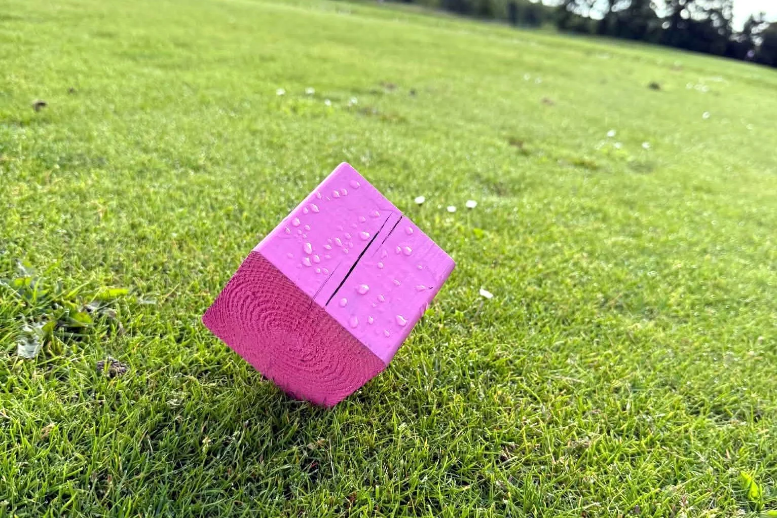 Veloverstået Pink Cup