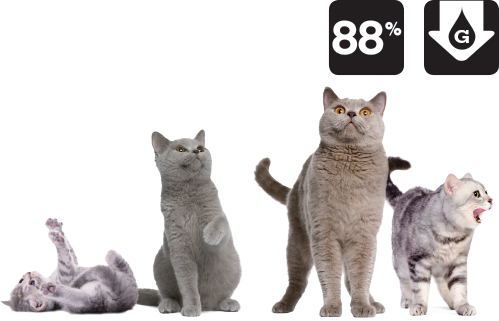 <div id="block-2663fb7831541f5fef01" class="sqs-block html-block sqs-block-html" data-block-type="2"> <div class="sqs-block-content"> <div id="block-2663fb7831541f5fef01" class="sqs-block html-block sqs-block-html" data-block-type="2"> <div class="sqs-block-content"> <h2>獨一無二的鮮魚組合！</h2> </div> </div> <div id="block-yui_3_17_2_1_1466589423313_164703" class="sqs-block image-block sqs-block-image sqs-text-ready" data-block-type="5"> <div id="yui_3_17_2_1_1621797621873_95" class="sqs-block-content"> <div id="yui_3_17_2_1_1621797621873_94" class=" image-block-outer-wrapper layout-caption-below design-layout-inline " data-test="image-block-inline-outer-wrapper"> <figure id="yui_3_17_2_1_1621797621873_93" class=" sqs-block-image-figure intrinsic "> <div id="yui_3_17_2_1_1621797621873_92" class=" image-block-wrapper has-aspect-ratio " data-animation-role="image" data-animation-override=""><img class="thumb-image loaded" src="https://images.squarespace-cdn.com/content/v1/56c2f58d86db434518d15337/1466652872443-V7Z6APVI0AGS3L0WMVE9/ke17ZwdGBToddI8pDm48kDIevmmZfEKSd5nBljaS8Q_lfiSMXz2YNBs8ylwAJx2qLijIv1YpVq4N1RMuCCrb3iJz4vYg48fcPCuGX417dnZ_w0udHK4UWUhePBnQxWjODZpUr2AY3vIW3ybtnEKKugoyyEsAbPHhHcQMU6bWQFI/image-asset.png?format=750w" alt="" data-src="https://images.squarespace-cdn.com/content/v1/56c2f58d86db434518d15337/1466652872443-V7Z6APVI0AGS3L0WMVE9/ke17ZwdGBToddI8pDm48kDIevmmZfEKSd5nBljaS8Q_lfiSMXz2YNBs8ylwAJx2qLijIv1YpVq4N1RMuCCrb3iJz4vYg48fcPCuGX417dnZ_w0udHK4UWUhePBnQxWjODZpUr2AY3vIW3ybtnEKKugoyyEsAbPHhHcQMU6bWQFI/image-asset.png" data-image="https://images.squarespace-cdn.com/content/v1/56c2f58d86db434518d15337/1466652872443-V7Z6APVI0AGS3L0WMVE9/ke17ZwdGBToddI8pDm48kDIevmmZfEKSd5nBljaS8Q_lfiSMXz2YNBs8ylwAJx2qLijIv1YpVq4N1RMuCCrb3iJz4vYg48fcPCuGX417dnZ_w0udHK4UWUhePBnQxWjODZpUr2AY3vIW3ybtnEKKugoyyEsAbPHhHcQMU6bWQFI/image-asset.png" data-image-dimensions="411x73" data-image-focal-point="0.5,0.5" data-load="false" data-image-id="576b58c82e69cfe8cbcaece9" data-type="image" data-image-resolution="750w" /></div></figure> </div> </div> </div> <div id="block-yui_3_17_2_1_1466589423313_167813" class="sqs-block html-block sqs-block-html" data-block-type="2"> <div class="sqs-block-content"> 極豐富的鮮魚含量，帶來天然而優質的奧米加3和6脂肪酸，為貓咪增強免疫力，使毛髮更亮麗。單一動物蛋白質，有效預防皮膚及腸道過敏。敏感拜拜！ </div> </div> </div> </div>