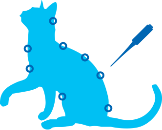 608819979984 <section id="yui_3_17_2_1_1619995078613_98" class="ProductItem-additional"> <div id="item-576b84dce4fcb5bcdb344ce4" class="sqs-layout sqs-grid-12 columns-12" data-layout-label="Post Body" data-type="item" data-updated-on="1466664691437"> <div id="yui_3_17_2_1_1619995078613_97" class="row sqs-row"> <div id="yui_3_17_2_1_1619995078613_96" class="col sqs-col-12 span-12"> <div id="block-yui_3_17_2_1_1466656474204_309039" class="sqs-block html-block sqs-block-html" data-block-type="2"> <div class="sqs-block-content"> <div id="block-588b50b01580a31fafde" class="sqs-block html-block sqs-block-html" data-block-type="2"> <div class="sqs-block-content"> <div id="block-e6937d74ac6047184fa8" class="sqs-block html-block sqs-block-html" data-block-type="2"> <div class="sqs-block-content"> <h1 class="text-align-center">全天然防蟲滴劑</h1> <h3 class="text-align-center">適合2個月以上貓咪</h3> </div> </div> </div> </div> </div> </div> <div id="block-yui_3_17_2_1_1466656474204_288472" class="sqs-block image-block sqs-block-image sqs-text-ready" data-block-type="5"> <div id="yui_3_17_2_1_1619995078613_95" class="sqs-block-content"> <div id="yui_3_17_2_1_1619995078613_94" class=" image-block-outer-wrapper layout-caption-below design-layout-inline " data-test="image-block-inline-outer-wrapper"> <figure id="yui_3_17_2_1_1619995078613_93" class=" sqs-block-image-figure intrinsic "> <div id="yui_3_17_2_1_1619995078613_92" class=" image-block-wrapper has-aspect-ratio " data-animation-role="image" data-animation-override=""><img class="thumb-image loaded" src="https://images.squarespace-cdn.com/content/v1/56c2f58d86db434518d15337/1466664503576-5EMBC7FKLVY7I1RSH8B2/ke17ZwdGBToddI8pDm48kHEBVsoIb2UGxjtJOTrBfmtZw-zPPgdn4jUwVcJE1ZvWHm65NfeYbc0U5OAzL71VaDqqXjS3CfNDSuuf31e0tVF9-6OujCyaCYblT1Dczgm_a2xYU1UQZj-o6WT31M5j5d1lH3P2bFZvTItROhWrBJ0/image-asset.png?format=500w" alt="" data-src="https://images.squarespace-cdn.com/content/v1/56c2f58d86db434518d15337/1466664503576-5EMBC7FKLVY7I1RSH8B2/ke17ZwdGBToddI8pDm48kHEBVsoIb2UGxjtJOTrBfmtZw-zPPgdn4jUwVcJE1ZvWHm65NfeYbc0U5OAzL71VaDqqXjS3CfNDSuuf31e0tVF9-6OujCyaCYblT1Dczgm_a2xYU1UQZj-o6WT31M5j5d1lH3P2bFZvTItROhWrBJ0/image-asset.png" data-image="https://images.squarespace-cdn.com/content/v1/56c2f58d86db434518d15337/1466664503576-5EMBC7FKLVY7I1RSH8B2/ke17ZwdGBToddI8pDm48kHEBVsoIb2UGxjtJOTrBfmtZw-zPPgdn4jUwVcJE1ZvWHm65NfeYbc0U5OAzL71VaDqqXjS3CfNDSuuf31e0tVF9-6OujCyaCYblT1Dczgm_a2xYU1UQZj-o6WT31M5j5d1lH3P2bFZvTItROhWrBJ0/image-asset.png" data-image-dimensions="402x246" data-image-focal-point="0.5,0.5" data-load="false" data-image-id="576b863737c581debf37a983" data-type="image" data-image-resolution="500w" /></div></figure> </div> </div> </div> <div id="block-yui_3_17_2_1_1466656474204_291928" class="sqs-block html-block sqs-block-html" data-block-type="2"> <div class="sqs-block-content"></div> </div> <div id="block-yui_3_17_2_1_1466656474204_295747" class="sqs-block html-block sqs-block-html" data-block-type="2"> <div class="sqs-block-content"> </div> </div> </div> </div> </div> </section>