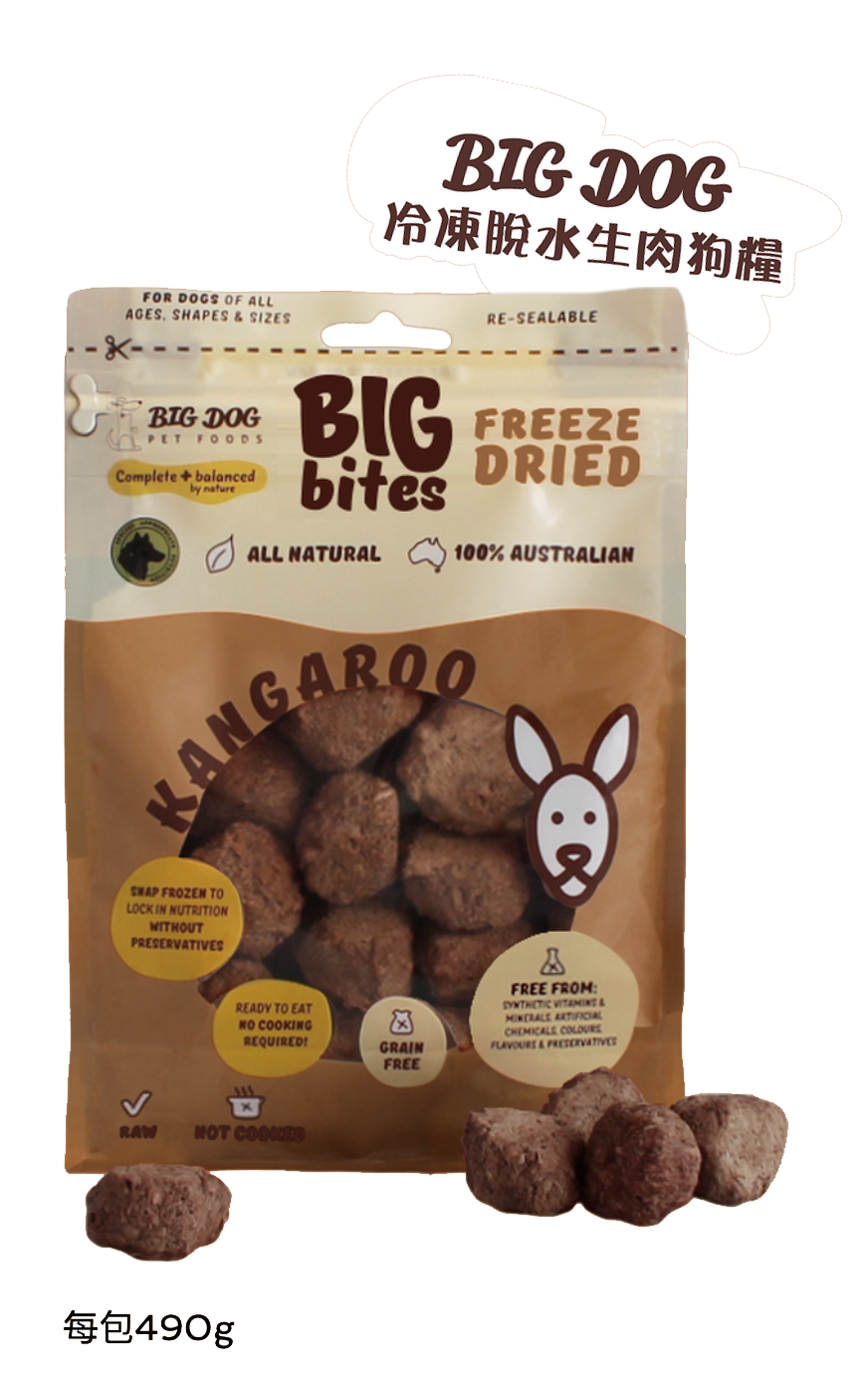 bigdog_fd_dee_lamb_03.png