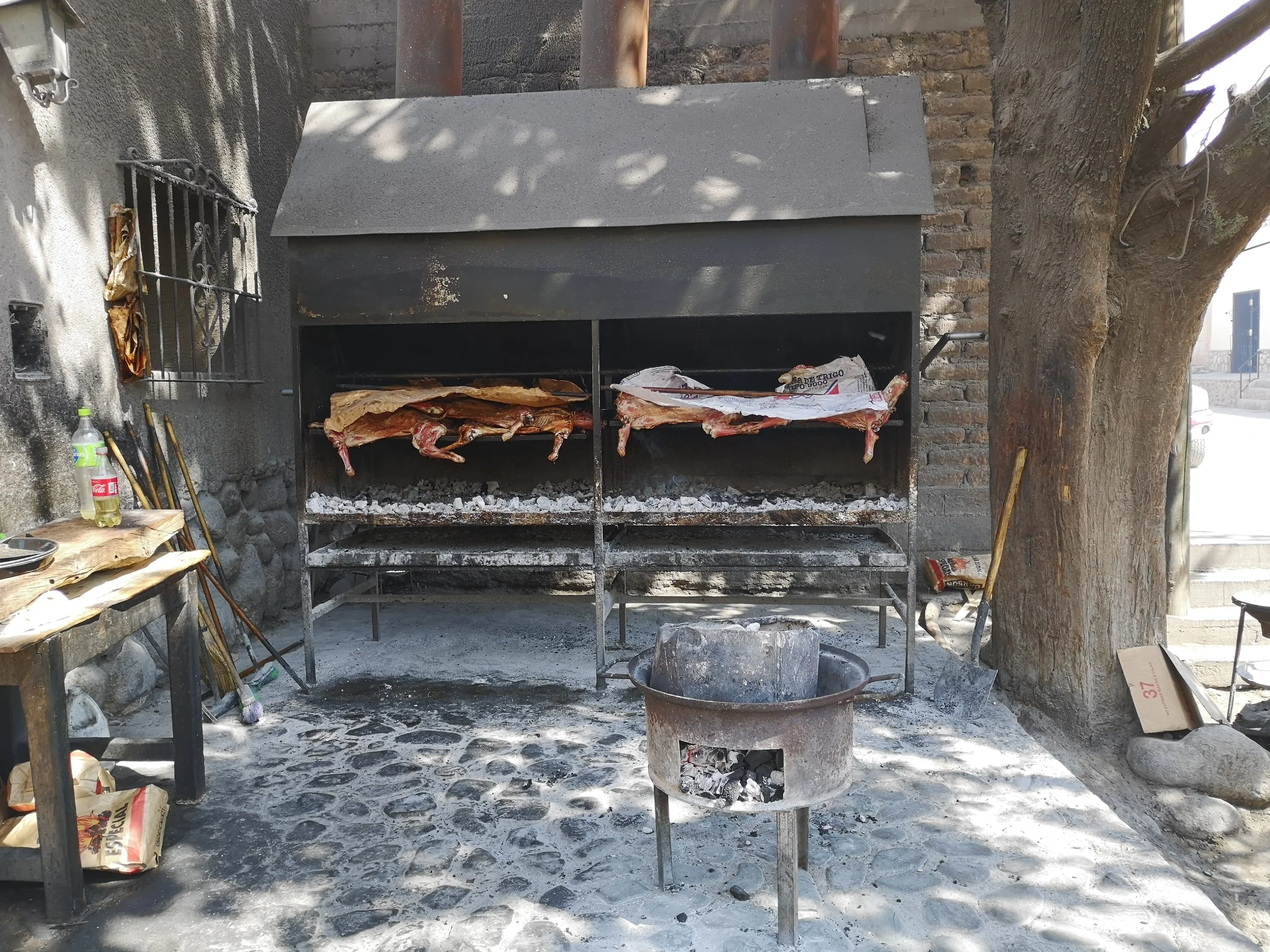 27 Roast Goat for lunch - The Grown Up Edit.jpg