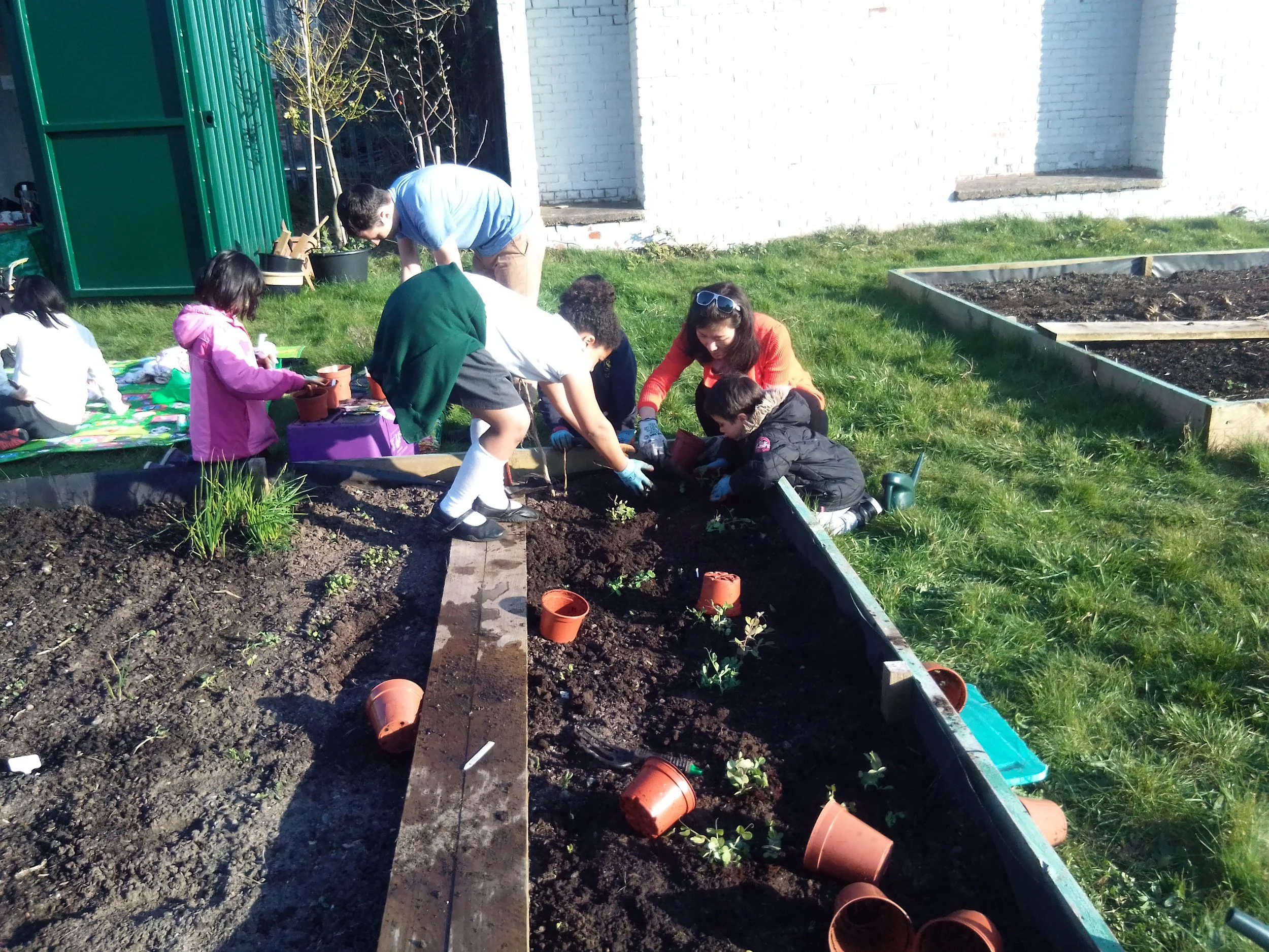 our Family Games Club BUSY IN THE COMMUNITY FOOD GROWING GARDEN