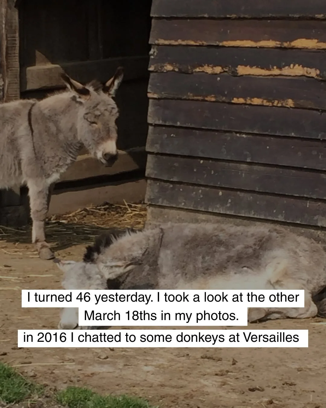 I turned 46 yesterday. 

I took a look at the other March 18ths in my photos.