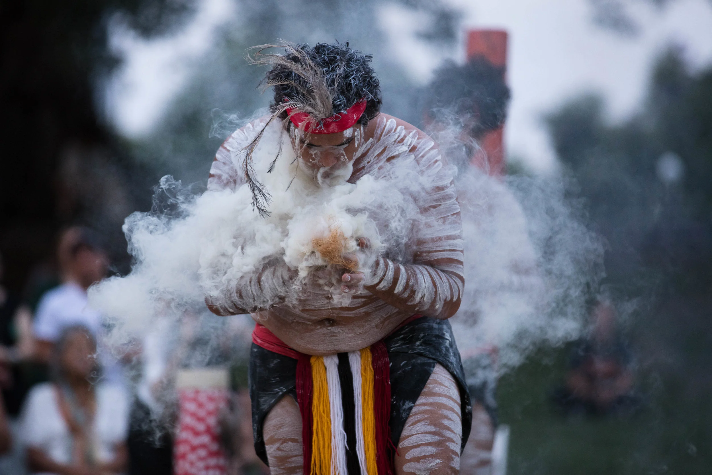 National Indigenous Arts and Cultural Authority (NIACA)