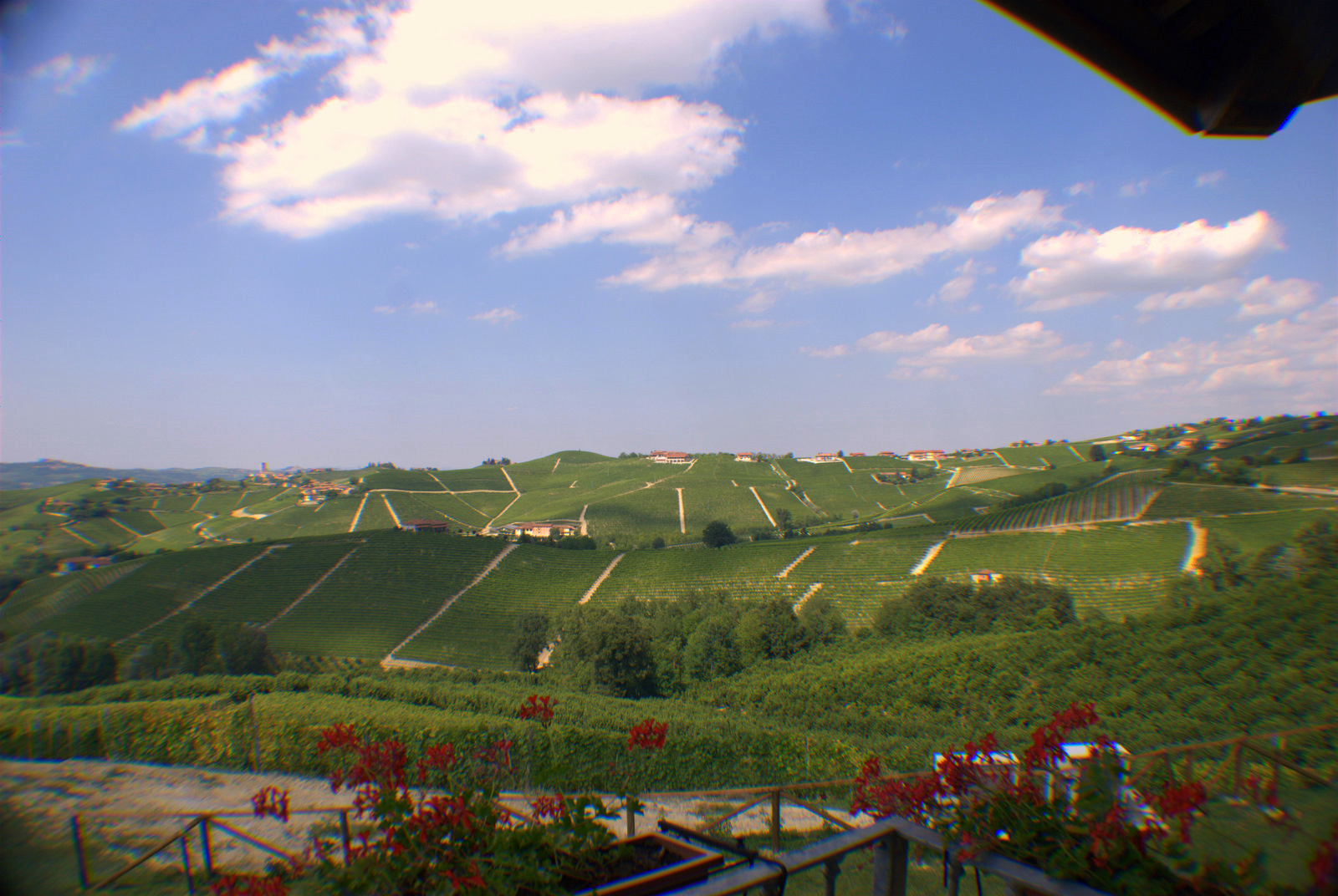 Langhe_Terre_dei_Savoia.jpg