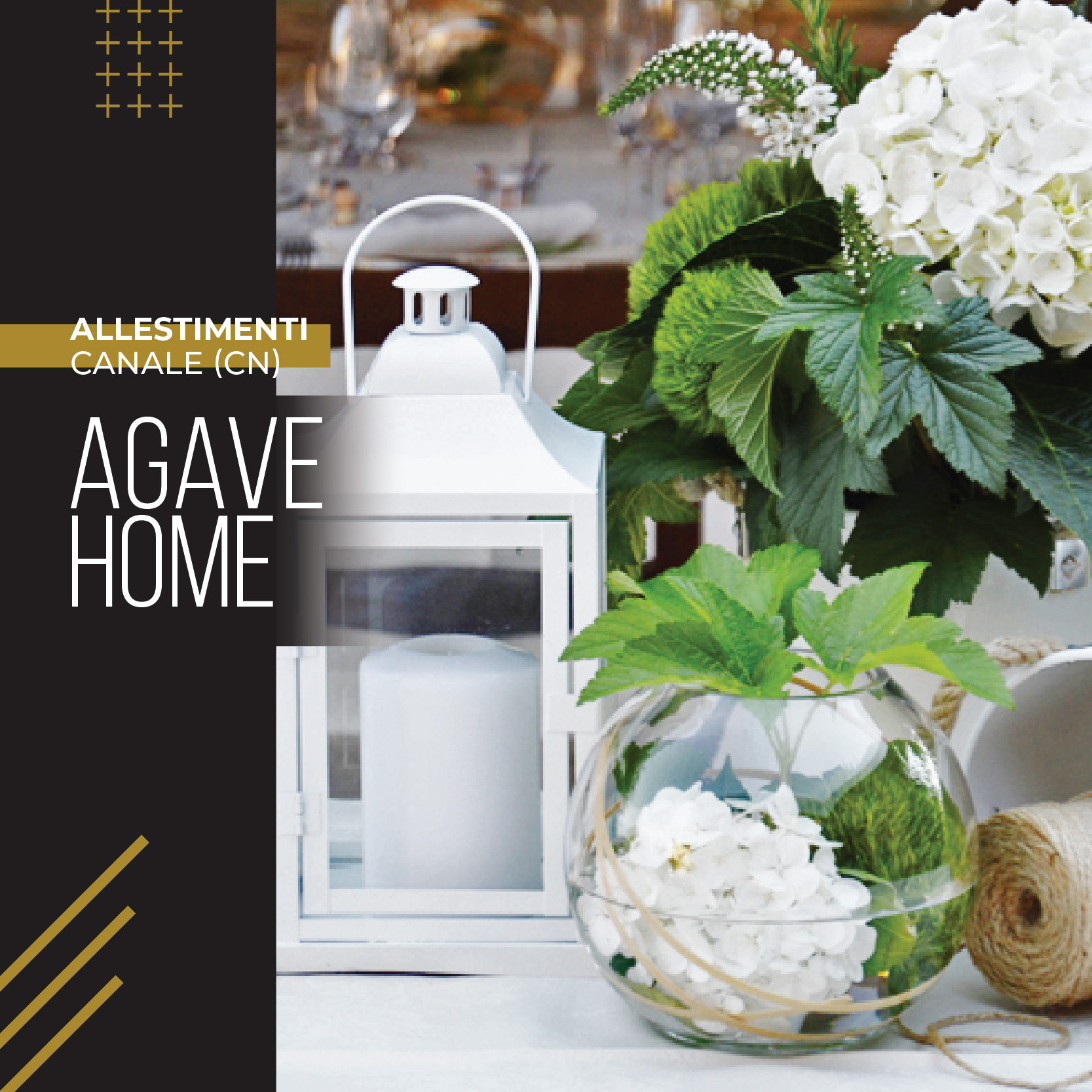 AGAVE HOME 