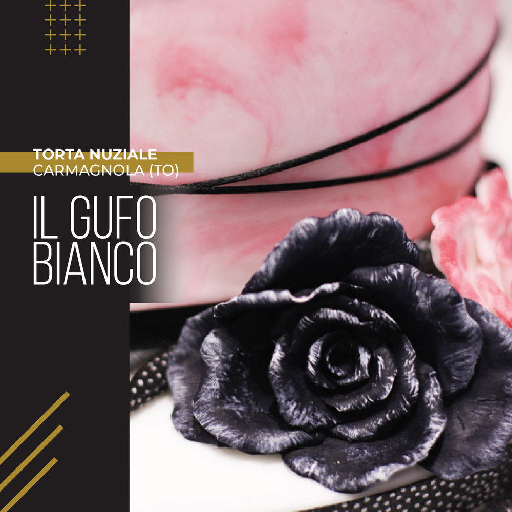 IL GUFO BIANCO