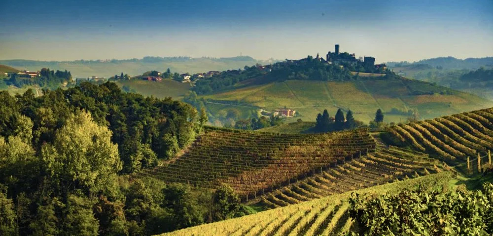 langhe e roero matrimonio - wedding langhe.jpg