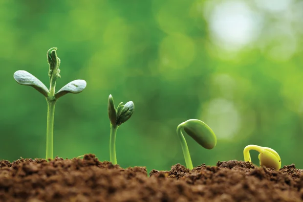 Are you growing what matters in your life?