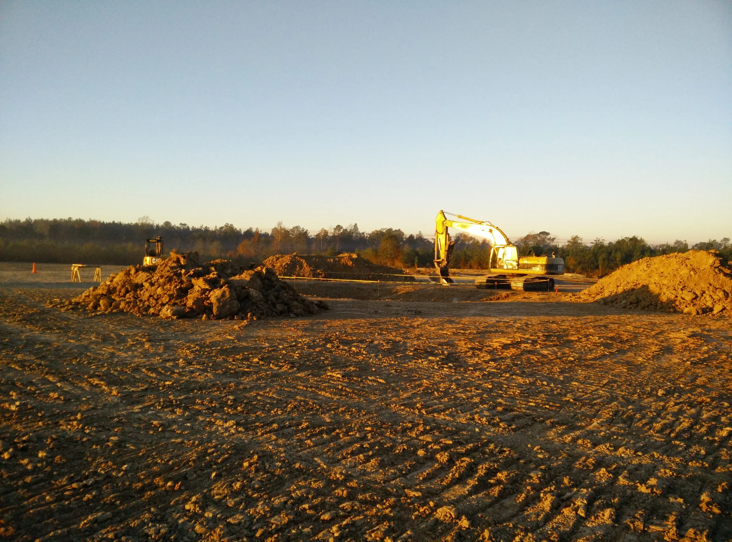 Our first site of the season (at the very start).