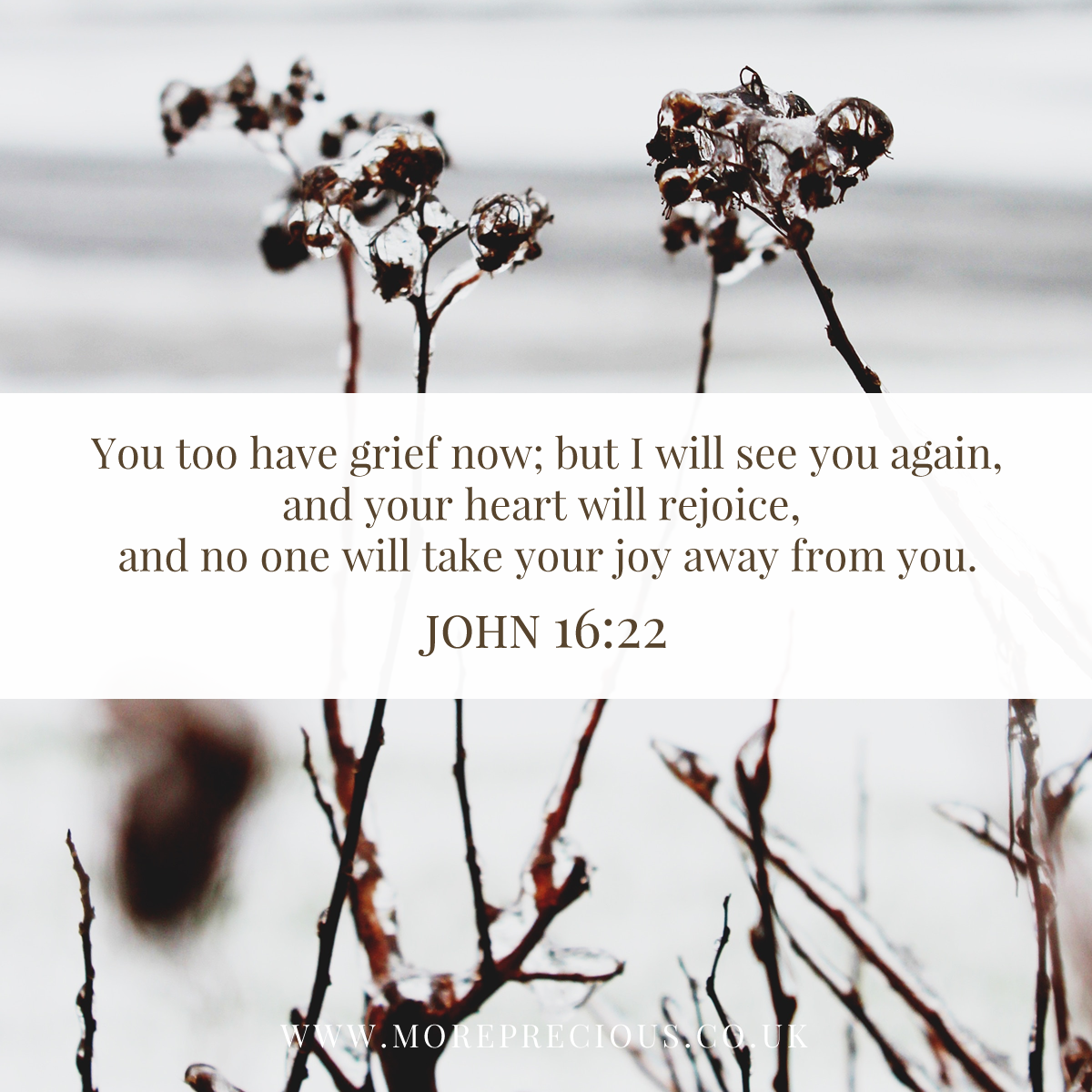 2 - John 16v22_preview.png
