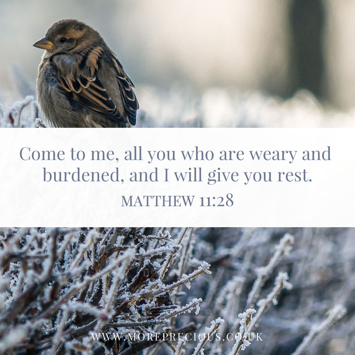 16 - Matthew 11v28_preview.png