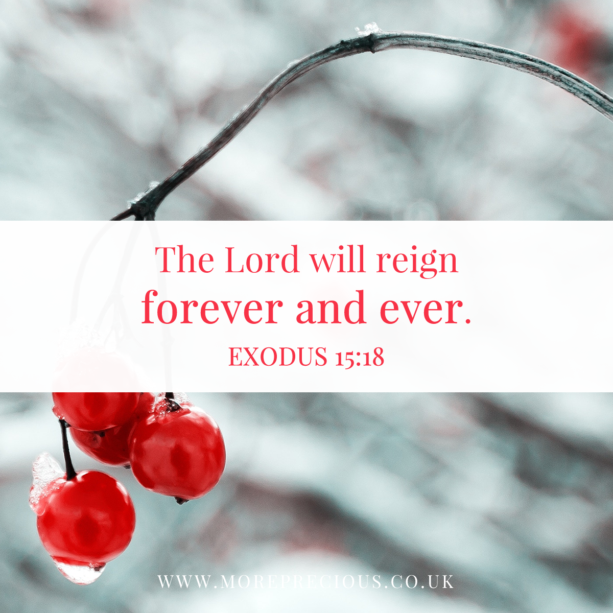 24 - Exodus 15v18_preview.png