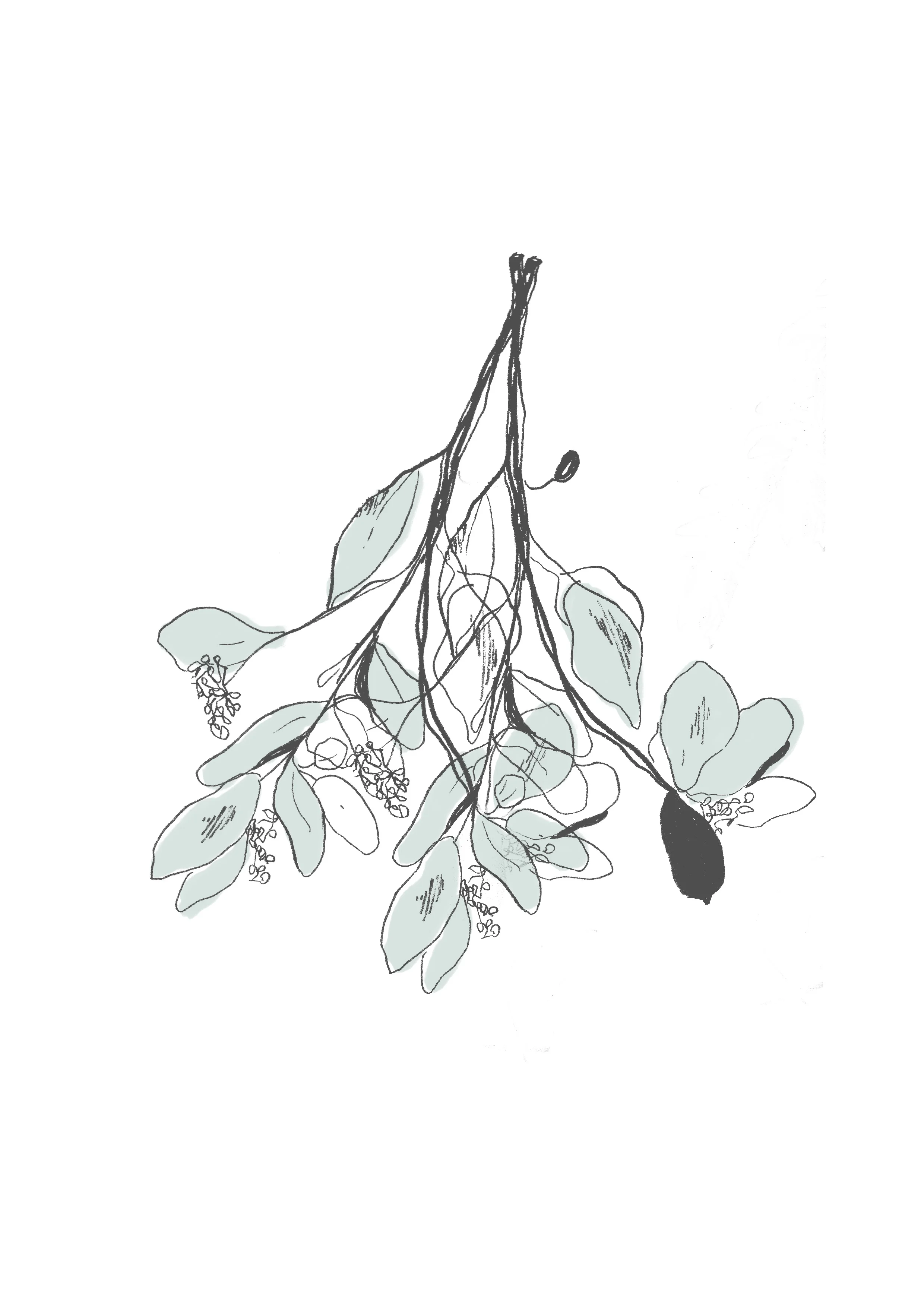 Illustrations by Watts Illustration