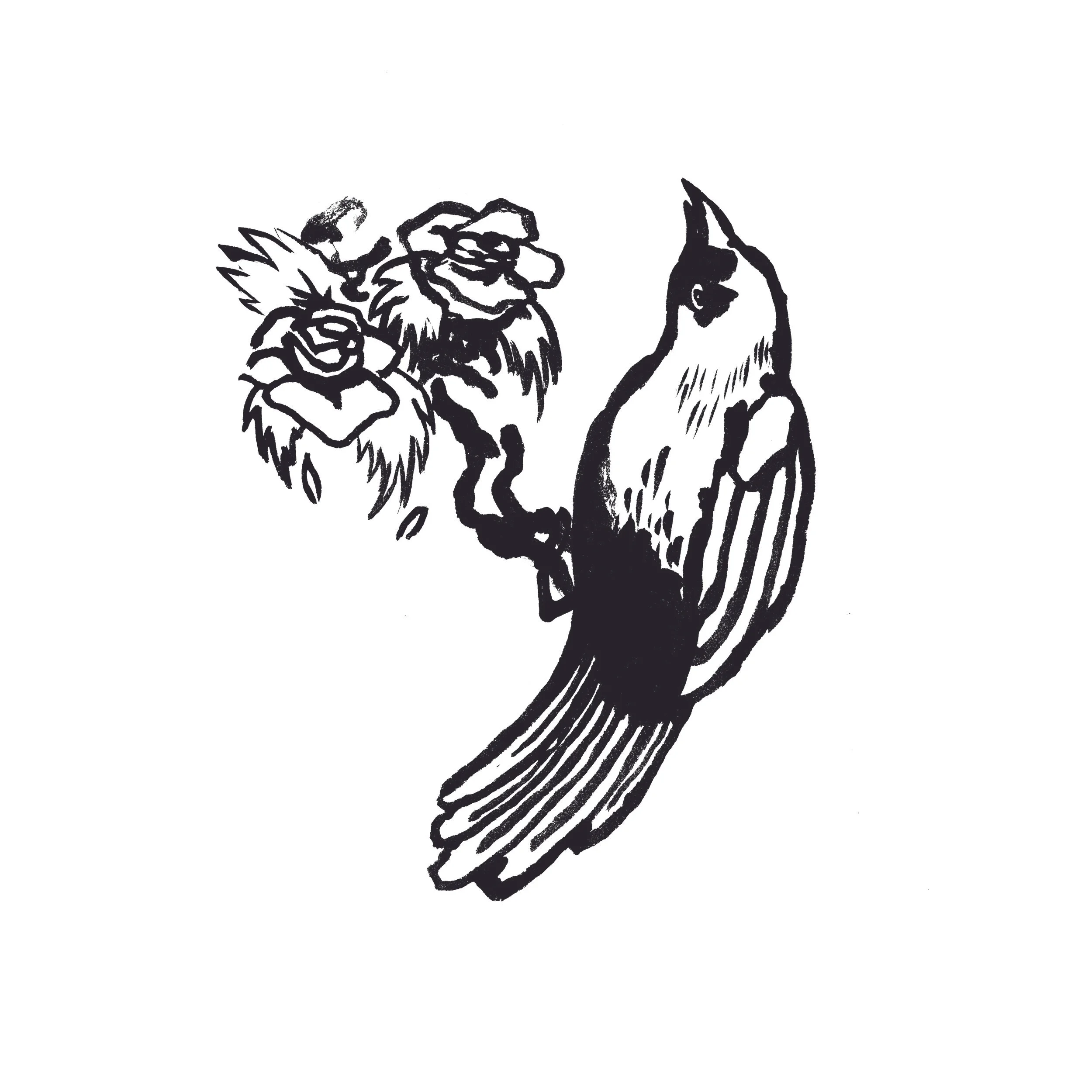 portfolio7.jpg