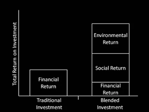 Which investment would you choose?
