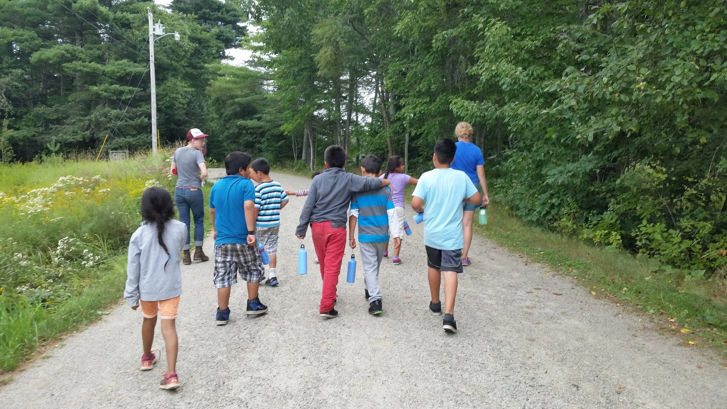 Students off to the forest to reflect on their learning during Blueberry Harvest School