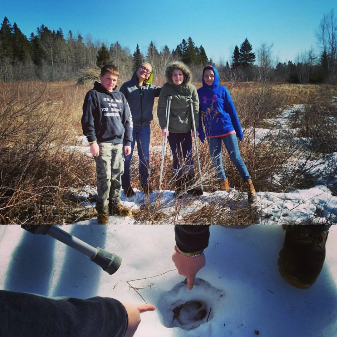 Narraguagus 7th-graders discovering deer tracks!