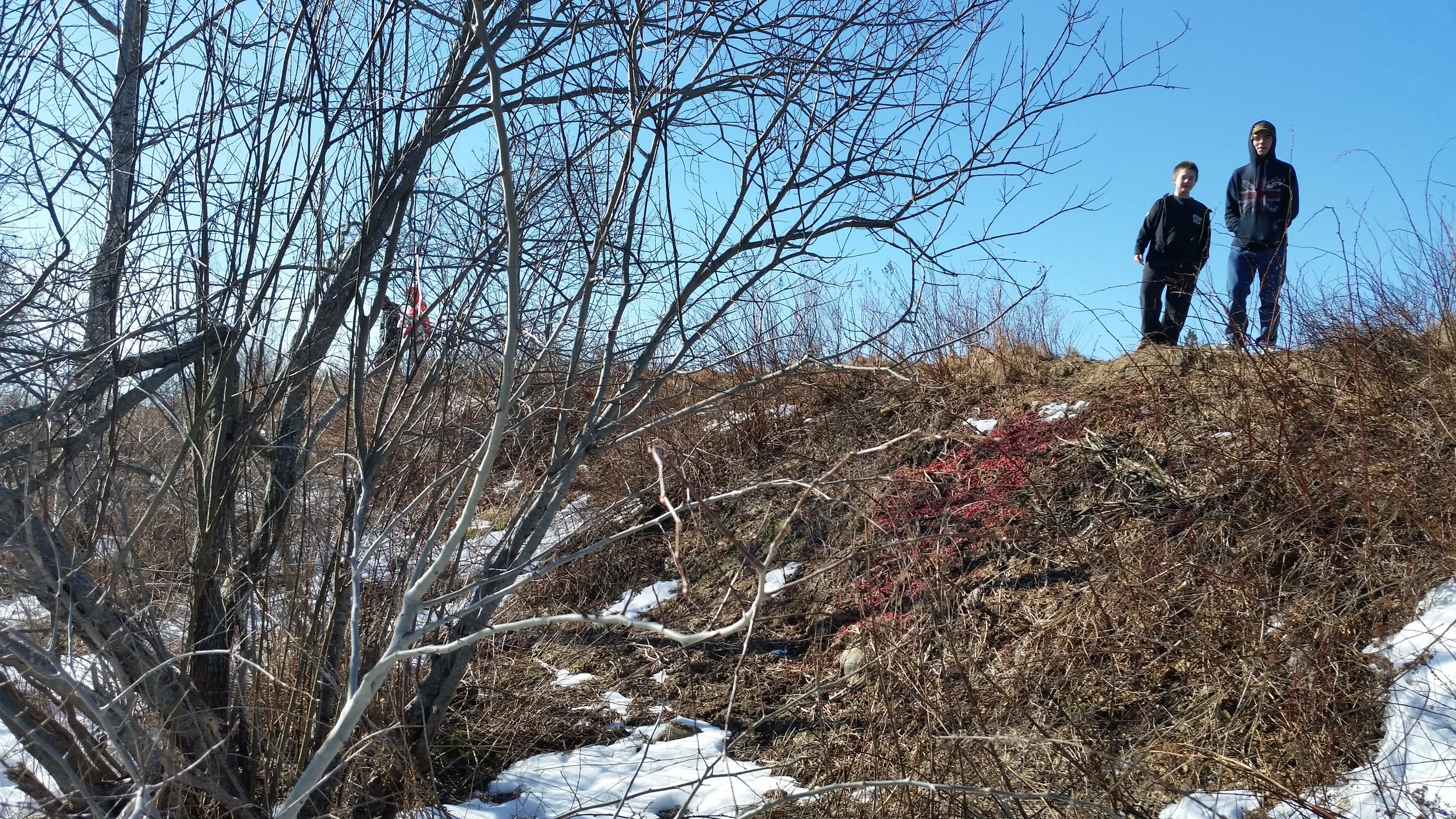 Students wondered, "is this pile of wild fruits evidence of human activity or some other animal?"